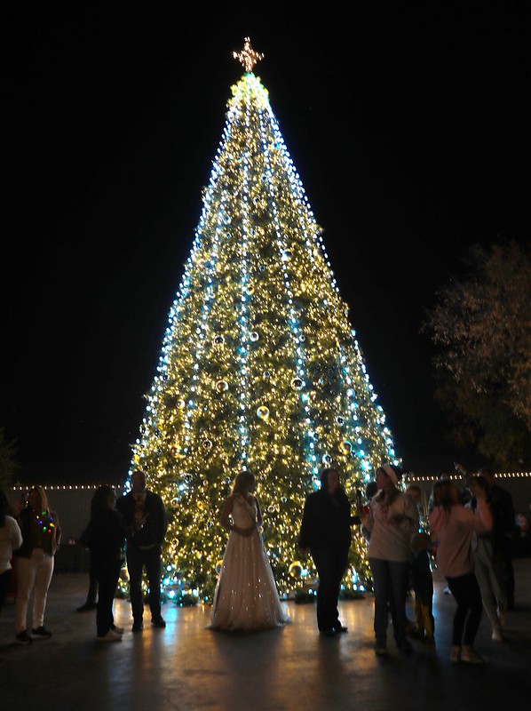 Calling All Young&nbsp;Artists!